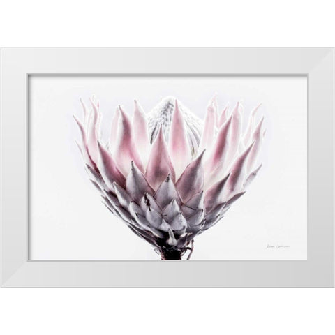 Pale Protea Detail II White Modern Wood Framed Art Print by Catterall, Elise