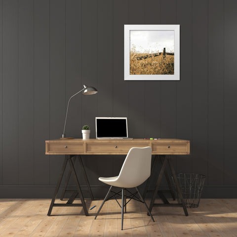 Fencerow Light Crop White Modern Wood Framed Art Print by Aledanda