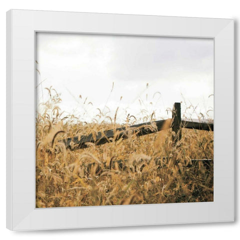 Fencerow Light Crop White Modern Wood Framed Art Print by Aledanda