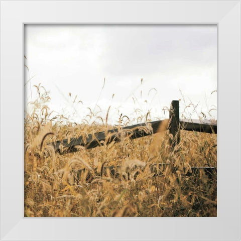 Fencerow Light Crop White Modern Wood Framed Art Print by Aledanda