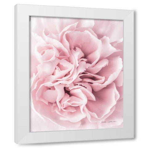Pink Carnation Crop White Modern Wood Framed Art Print by Catterall, Elise
