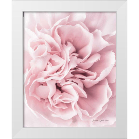 Pink Carnation Crop White Modern Wood Framed Art Print by Catterall, Elise
