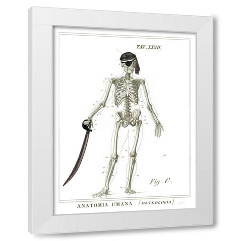 Dandy Bones Pirate White Modern Wood Framed Art Print by Schlabach, Sue