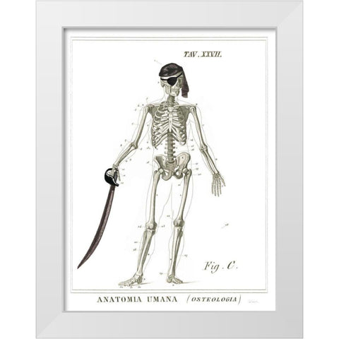 Dandy Bones Pirate White Modern Wood Framed Art Print by Schlabach, Sue