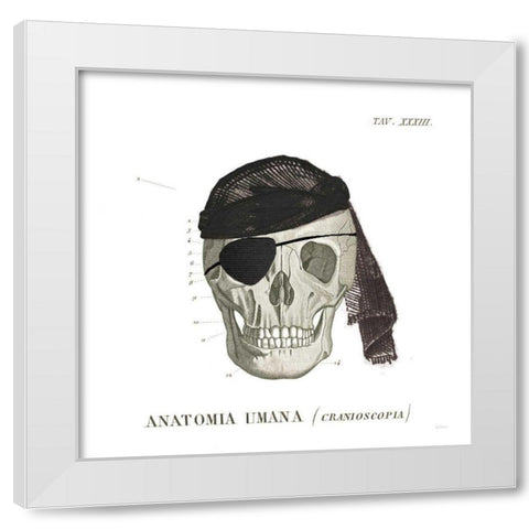 Dandy Bones VI Pirate White Modern Wood Framed Art Print by Schlabach, Sue
