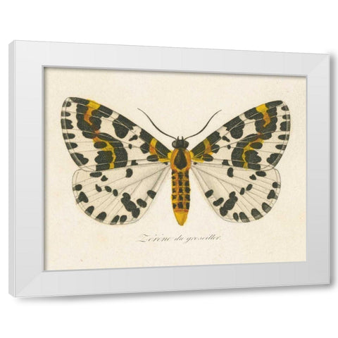 Natures Butterfly IV White Modern Wood Framed Art Print by Wild Apple Portfolio