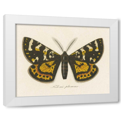 Natures Butterfly V White Modern Wood Framed Art Print by Wild Apple Portfolio