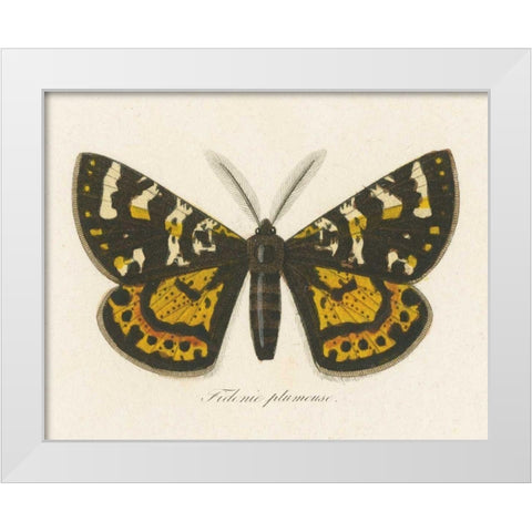 Natures Butterfly V White Modern Wood Framed Art Print by Wild Apple Portfolio