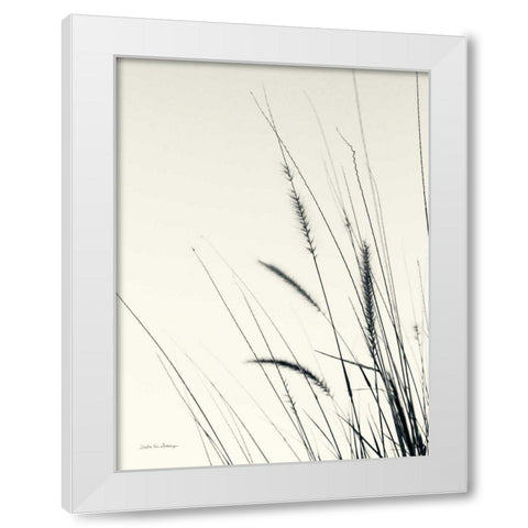 Field Grasses II White Modern Wood Framed Art Print by Van Swearingen, Debra