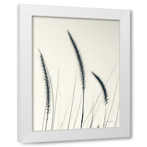Field Grasses IV White Modern Wood Framed Art Print by Van Swearingen, Debra