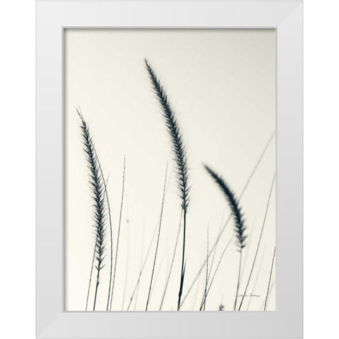Field Grasses IV White Modern Wood Framed Art Print by Van Swearingen, Debra
