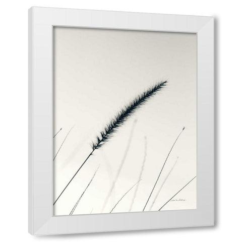 Field Grasses V White Modern Wood Framed Art Print by Van Swearingen, Debra