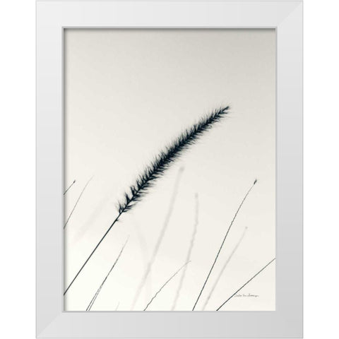Field Grasses V White Modern Wood Framed Art Print by Van Swearingen, Debra