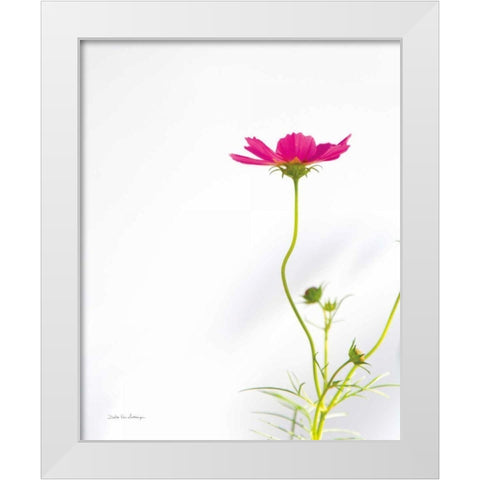 Magenta Cosmos II White Modern Wood Framed Art Print by Van Swearingen, Debra