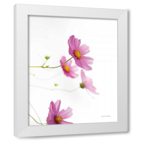 Pale Cosmos I White Modern Wood Framed Art Print by Van Swearingen, Debra