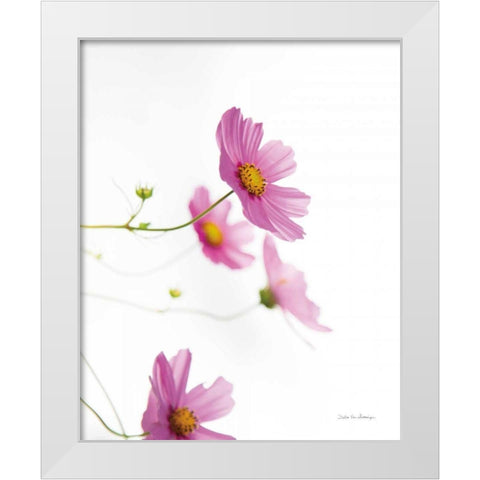 Pale Cosmos I White Modern Wood Framed Art Print by Van Swearingen, Debra