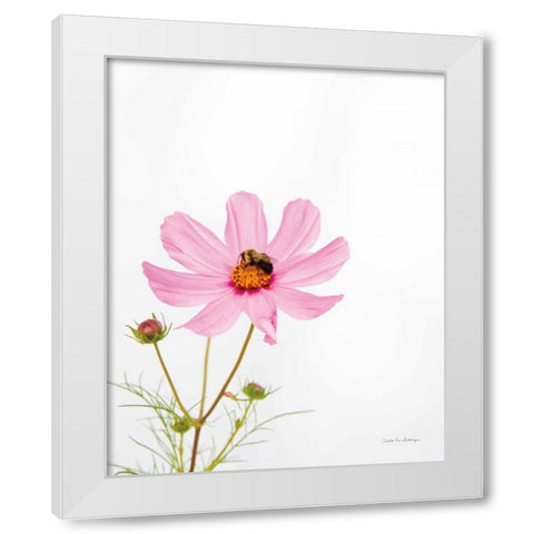 Pale Cosmos II White Modern Wood Framed Art Print by Van Swearingen, Debra