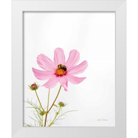 Pale Cosmos II White Modern Wood Framed Art Print by Van Swearingen, Debra
