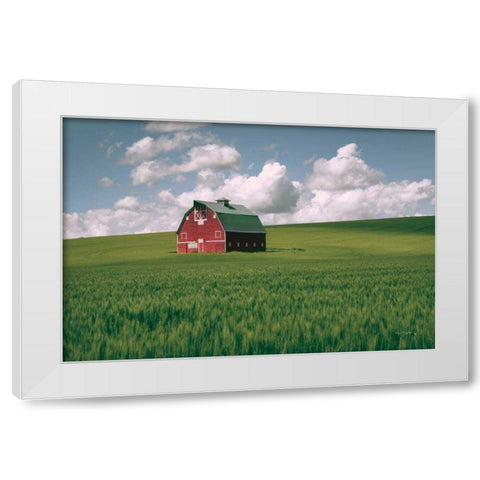 Palouse Region Red Barn I White Modern Wood Framed Art Print by Majchrowicz, Alan