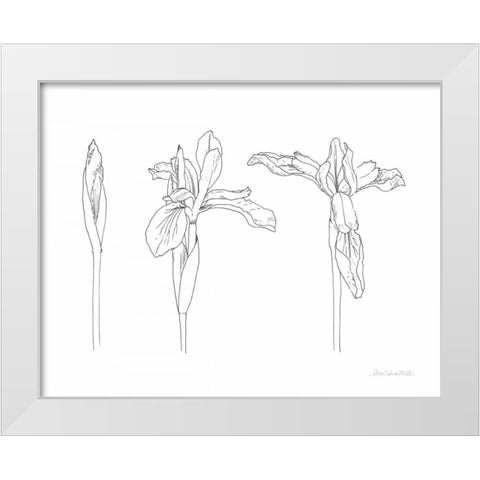Sketched Iris White Modern Wood Framed Art Print by Miller, Sara Zieve