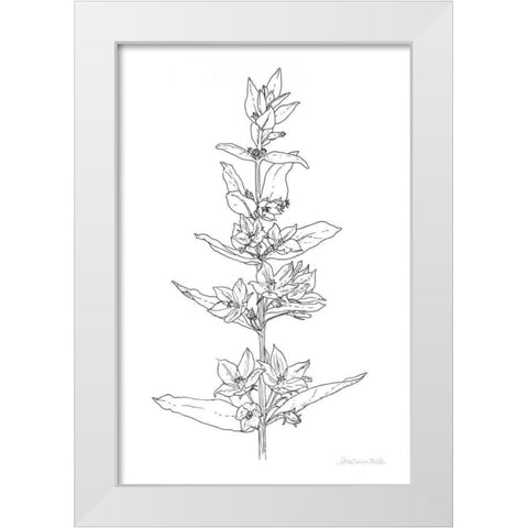 Sketched Flowers White Modern Wood Framed Art Print by Miller, Sara Zieve