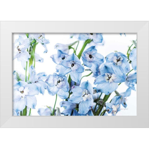Freshly Picked Delphinium I White Modern Wood Framed Art Print by Urquhart, Elizabeth