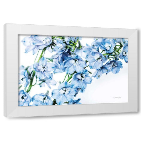 Freshly Picked Delphinium II White Modern Wood Framed Art Print by Urquhart, Elizabeth