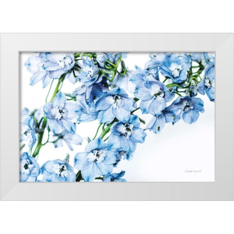 Freshly Picked Delphinium II White Modern Wood Framed Art Print by Urquhart, Elizabeth