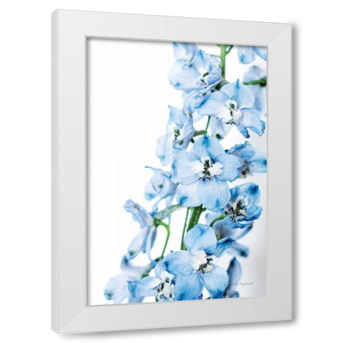 Freshly Picked Delphinium III White Modern Wood Framed Art Print by Urquhart, Elizabeth