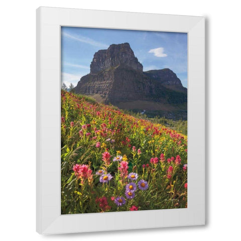 Boulder Pass Wildflowers White Modern Wood Framed Art Print by Majchrowicz, Alan