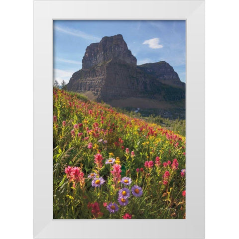 Boulder Pass Wildflowers White Modern Wood Framed Art Print by Majchrowicz, Alan