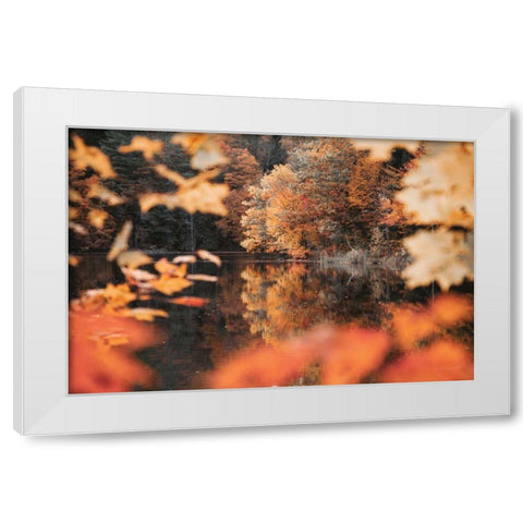 Autumn Reflections White Modern Wood Framed Art Print by Marshall, Laura