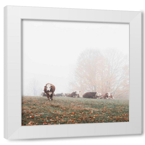 Misty Pasture White Modern Wood Framed Art Print by Marshall, Laura