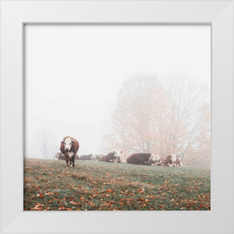 Misty Pasture White Modern Wood Framed Art Print by Marshall, Laura