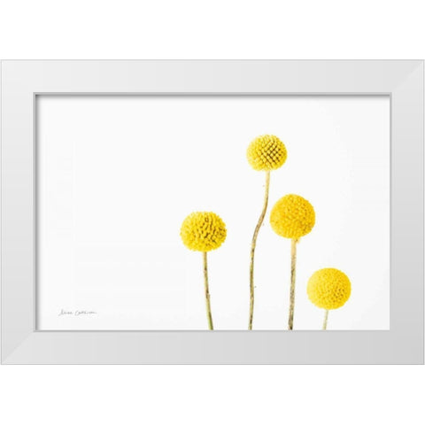 Craspedia I White Modern Wood Framed Art Print by Catterall, Elise