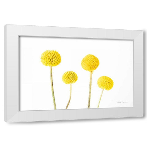 Craspedia II White Modern Wood Framed Art Print by Catterall, Elise