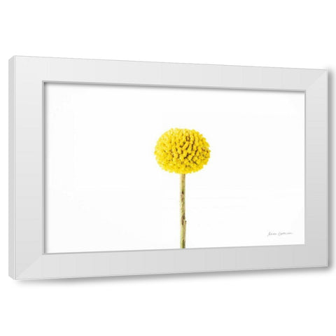Craspedia III White Modern Wood Framed Art Print by Catterall, Elise