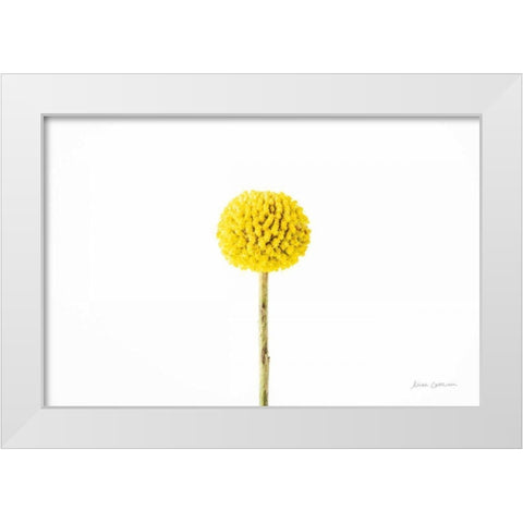 Craspedia III White Modern Wood Framed Art Print by Catterall, Elise