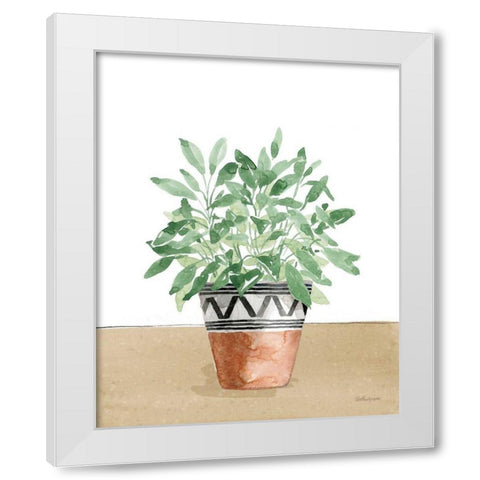 Herb Garden V White White Modern Wood Framed Art Print by Grove, Beth