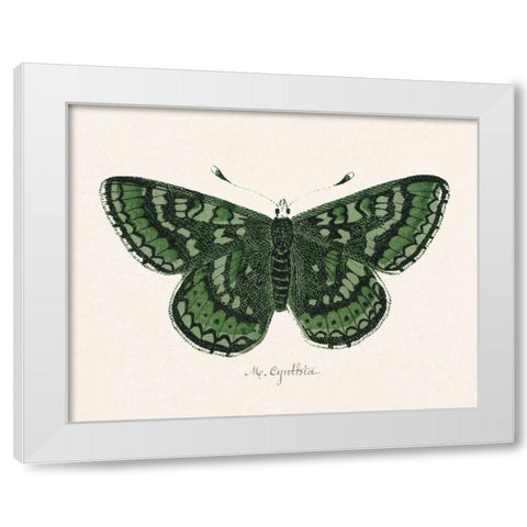 Antique Butterfly I White Modern Wood Framed Art Print by Wild Apple Portfolio