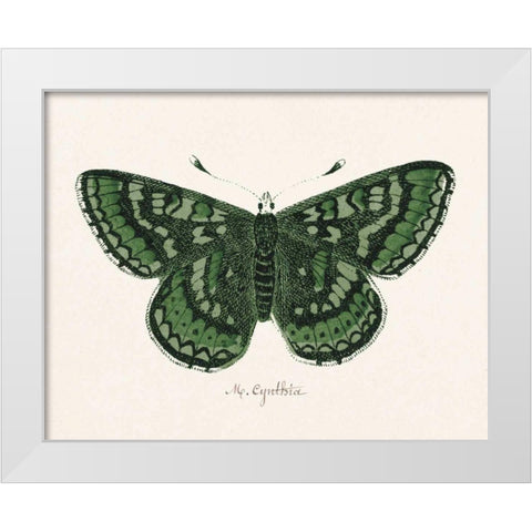 Antique Butterfly I White Modern Wood Framed Art Print by Wild Apple Portfolio