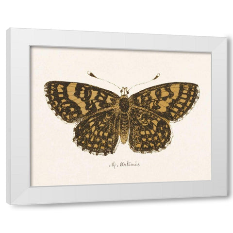 Antique Butterfly II White Modern Wood Framed Art Print by Wild Apple Portfolio