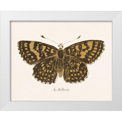 Antique Butterfly II White Modern Wood Framed Art Print by Wild Apple Portfolio