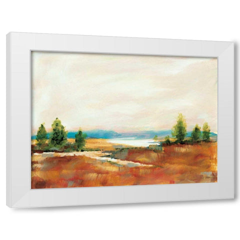 Amity Pond White Modern Wood Framed Art Print by Schlabach, Sue