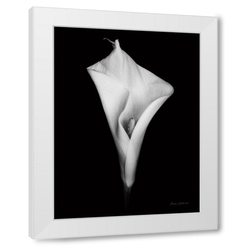 Elegant Calla I White Modern Wood Framed Art Print by Catterall, Elise
