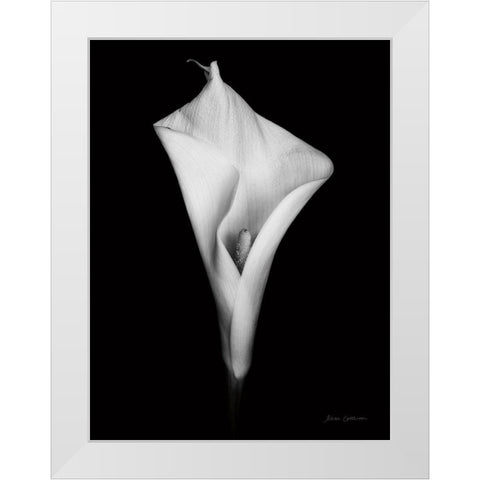 Elegant Calla I White Modern Wood Framed Art Print by Catterall, Elise