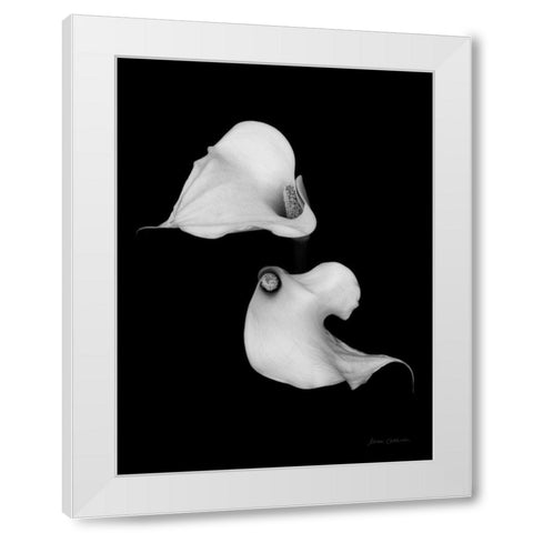 Elegant Calla II White Modern Wood Framed Art Print by Catterall, Elise