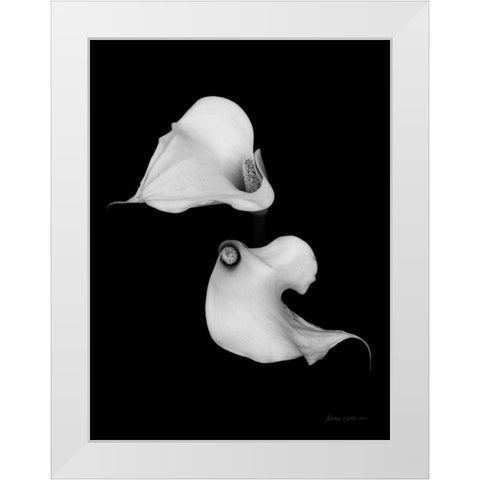 Elegant Calla II White Modern Wood Framed Art Print by Catterall, Elise