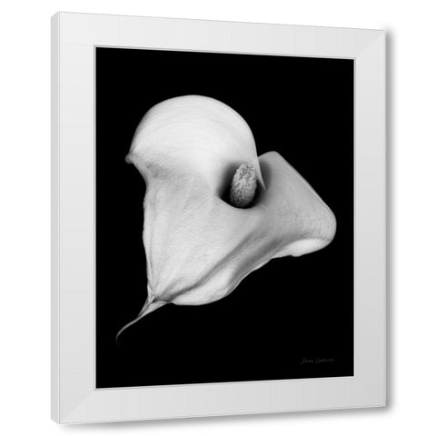 Elegant Calla III White Modern Wood Framed Art Print by Catterall, Elise