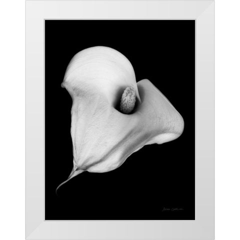 Elegant Calla III White Modern Wood Framed Art Print by Catterall, Elise